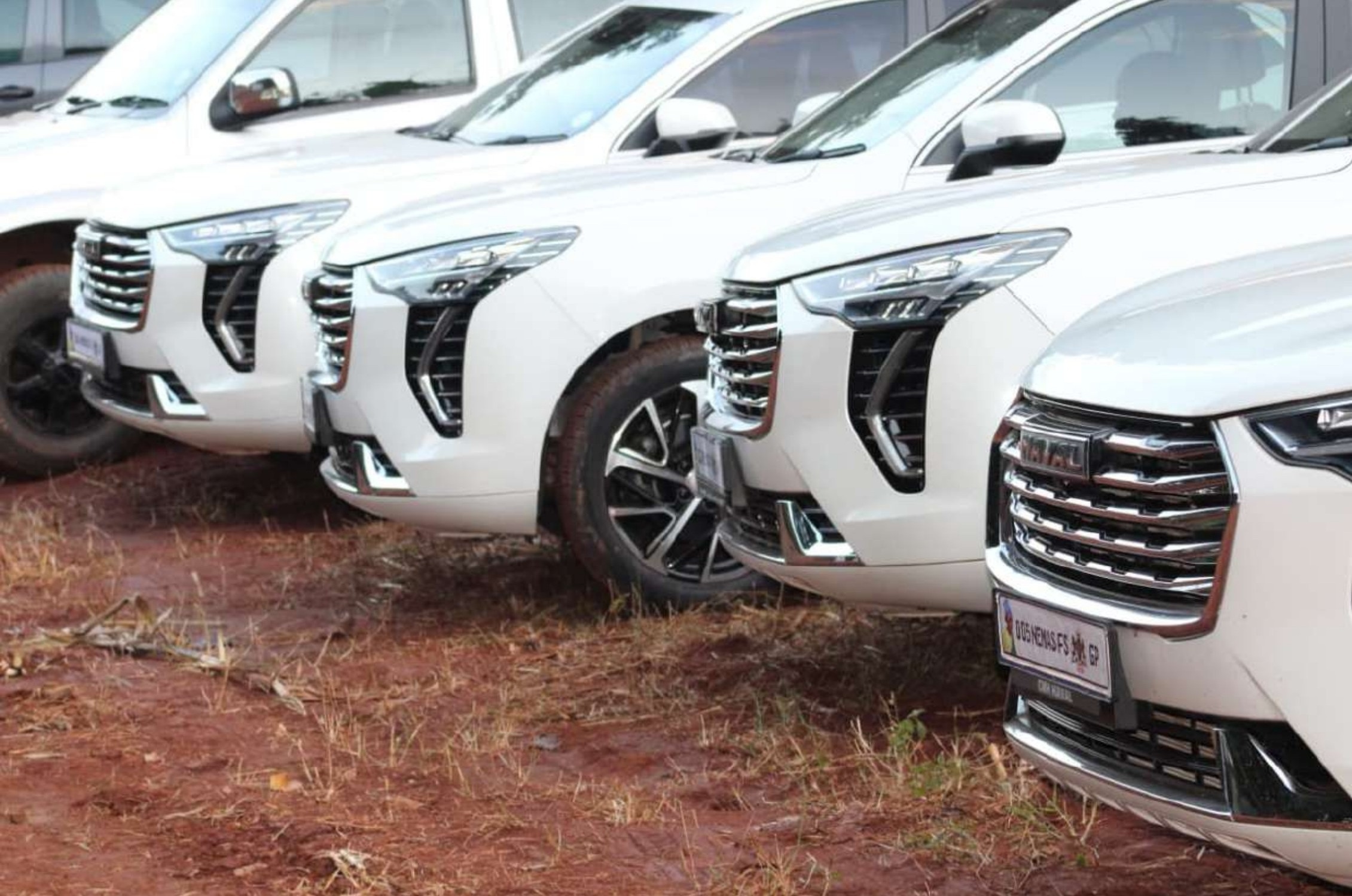 White SUVs & Sedans, Immaculately Maintained.